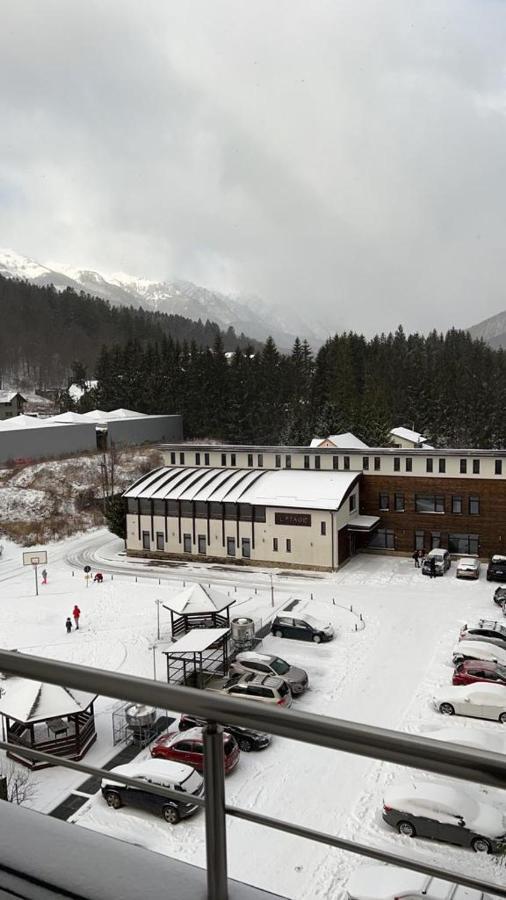 Coca Studio Mountain View Sinaia Esterno foto