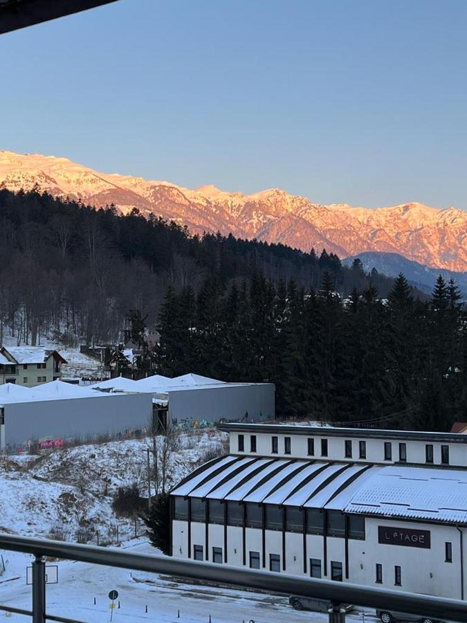 Coca Studio Mountain View Sinaia Esterno foto