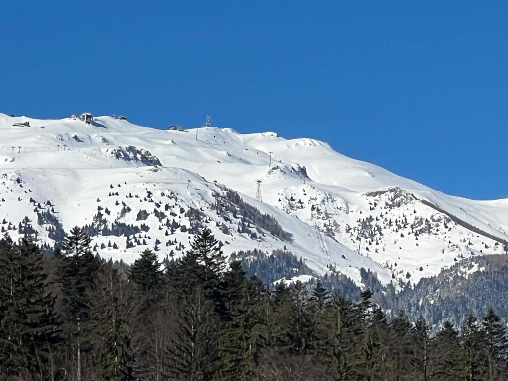 Coca Studio Mountain View Sinaia Esterno foto