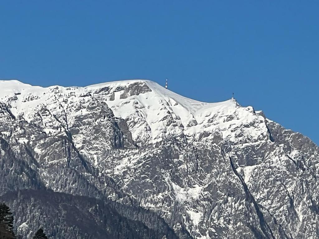 Coca Studio Mountain View Sinaia Esterno foto