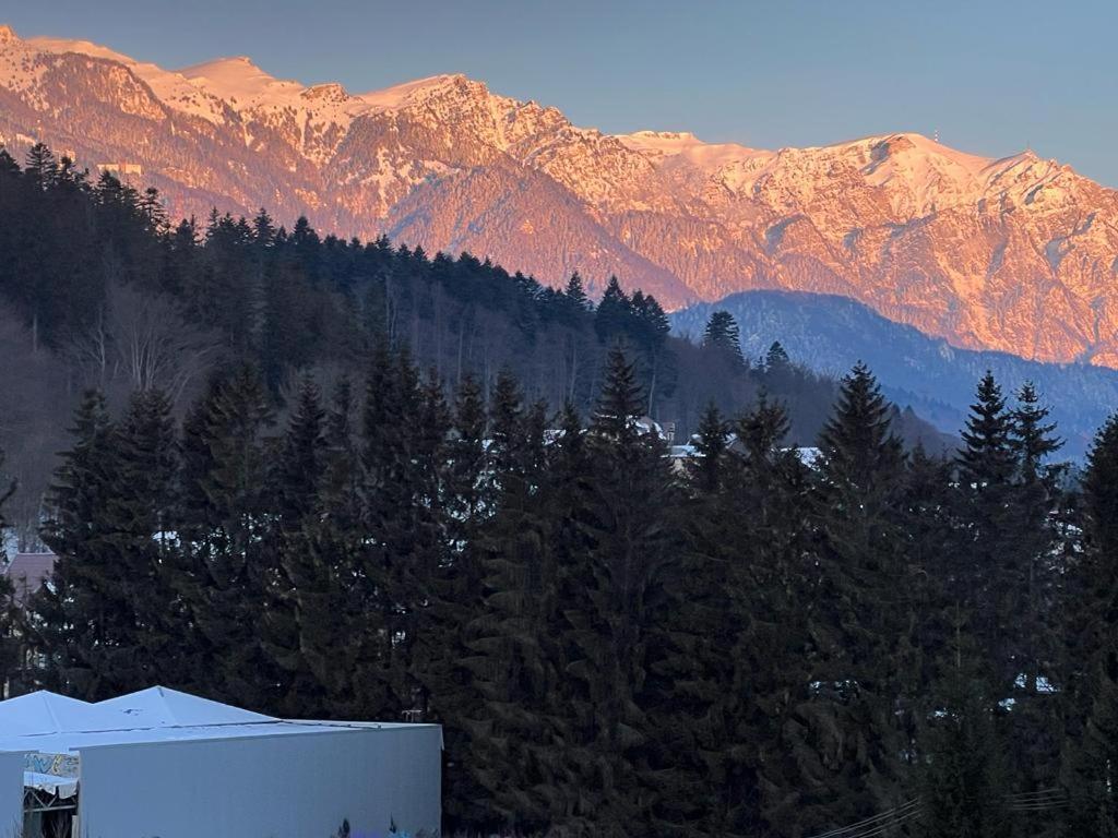 Coca Studio Mountain View Sinaia Esterno foto