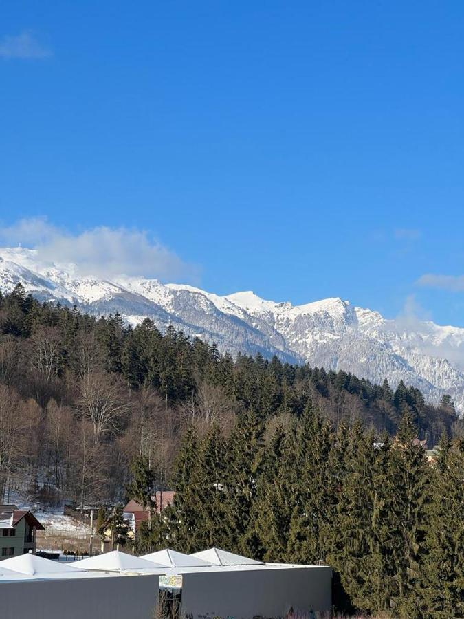 Coca Studio Mountain View Sinaia Esterno foto