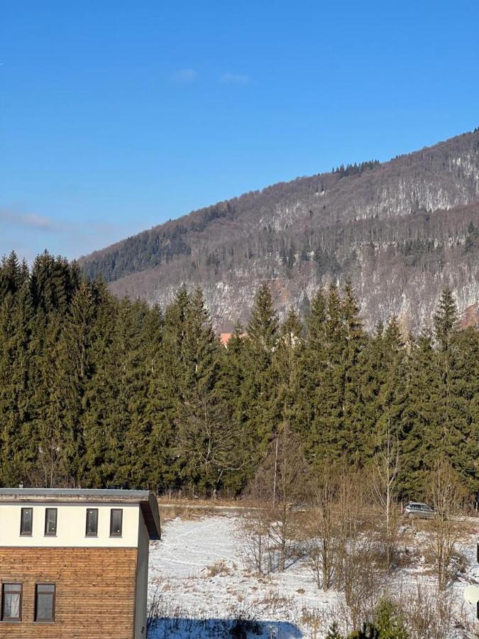 Coca Studio Mountain View Sinaia Esterno foto