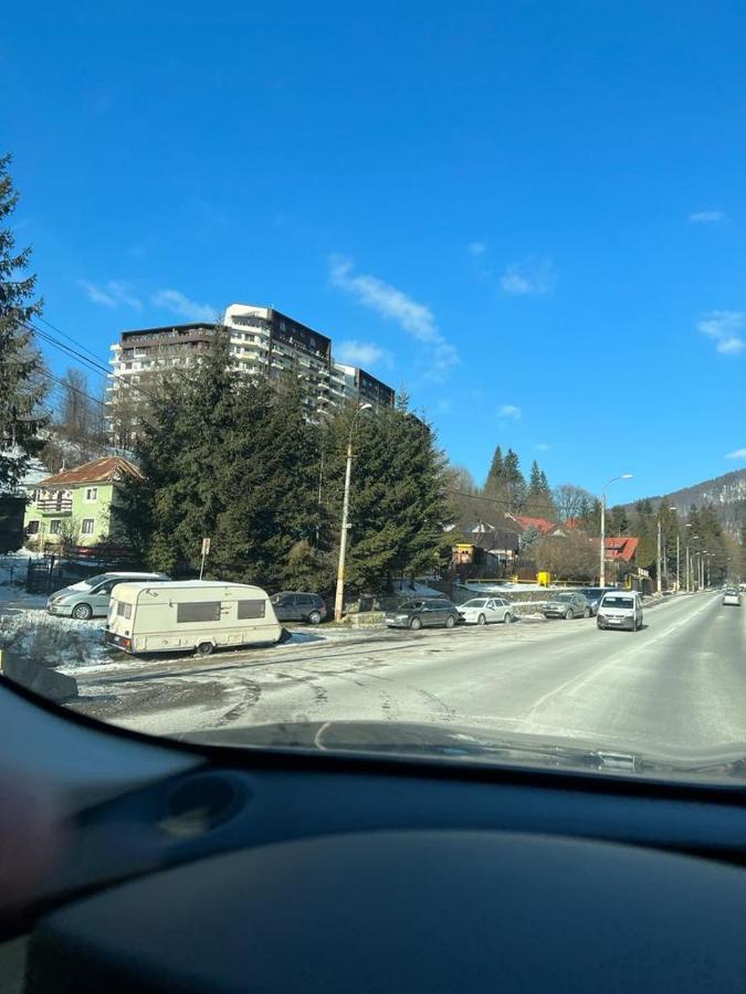 Coca Studio Mountain View Sinaia Esterno foto