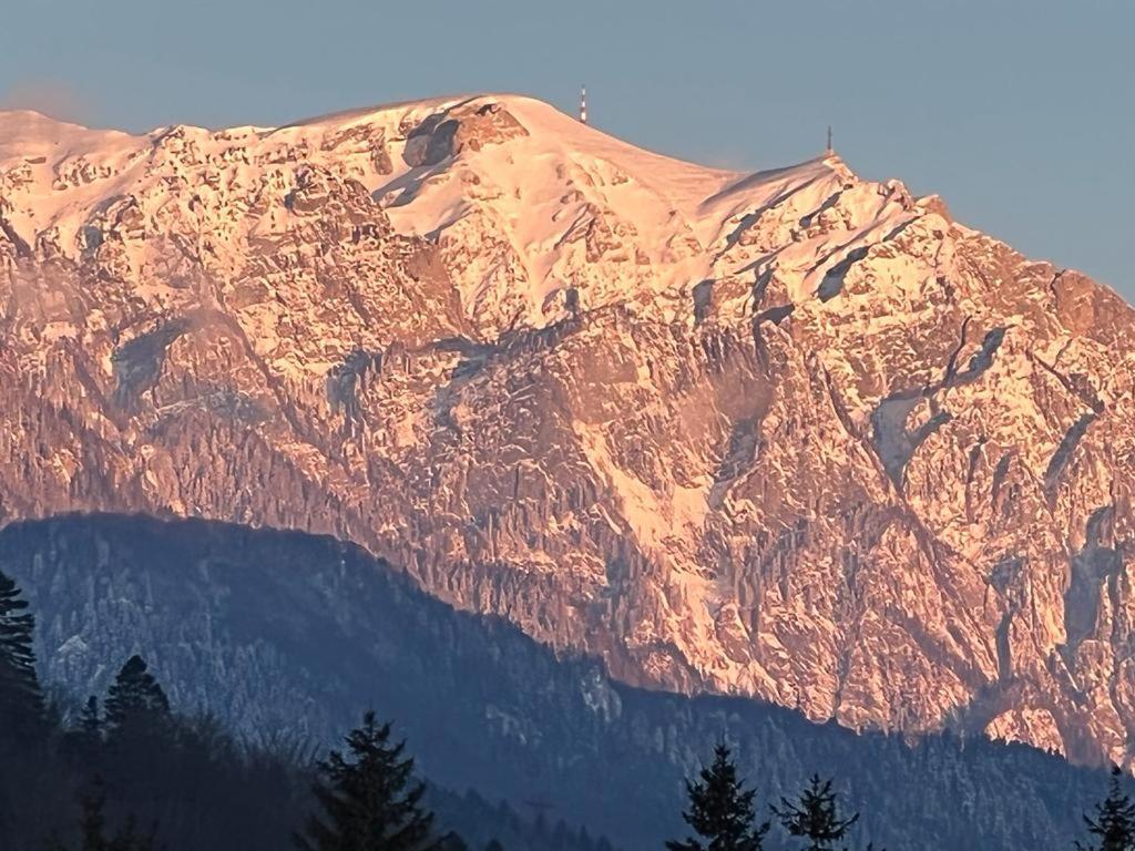 Coca Studio Mountain View Sinaia Esterno foto