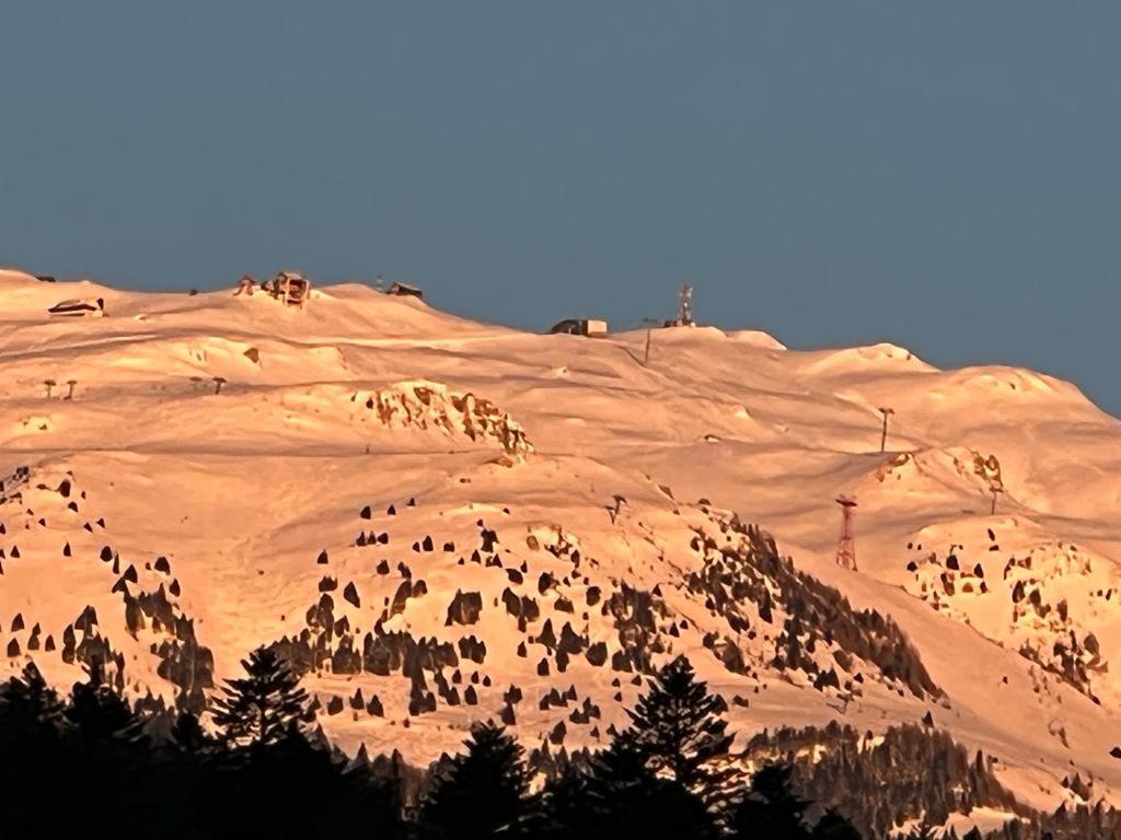 Coca Studio Mountain View Sinaia Esterno foto