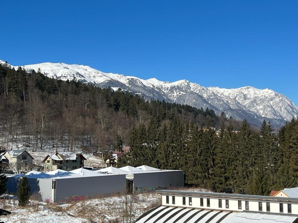 Coca Studio Mountain View Sinaia Esterno foto